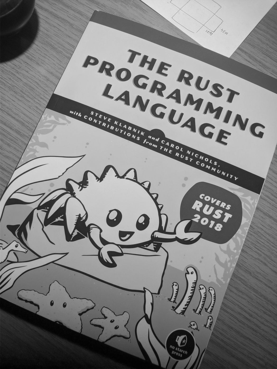 rust book